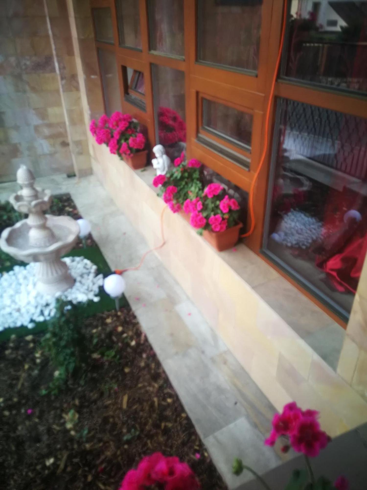 Villa Barrandov Pokoj 3 Prag Eksteriør billede
